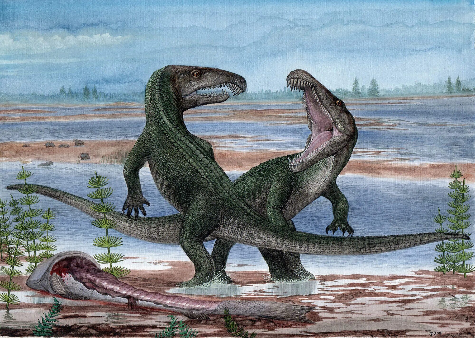 Текодонт престозух. Архозавры триасового периода. Архозавры мезозой. Орнитозух триасовый период. Протерозух динозавр.