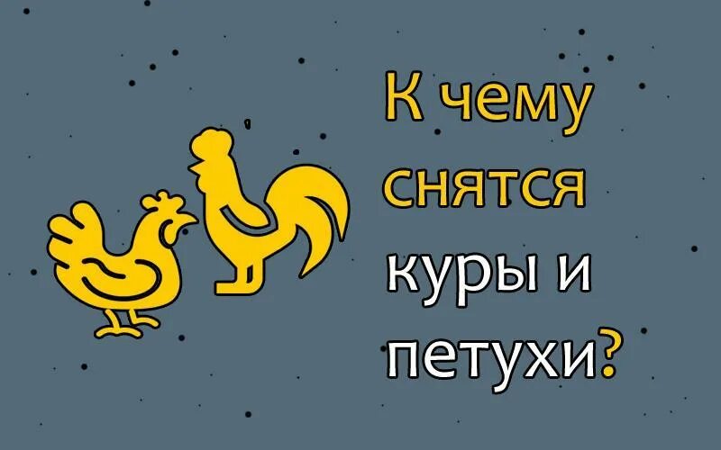 К чему снится петух. К чему снятся куры.