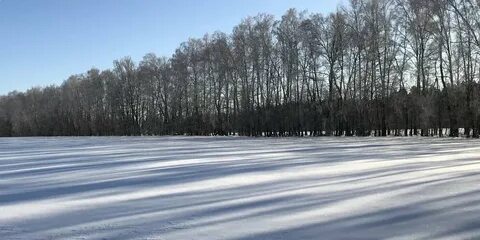 Гидрометцентр брянск на 14 дней