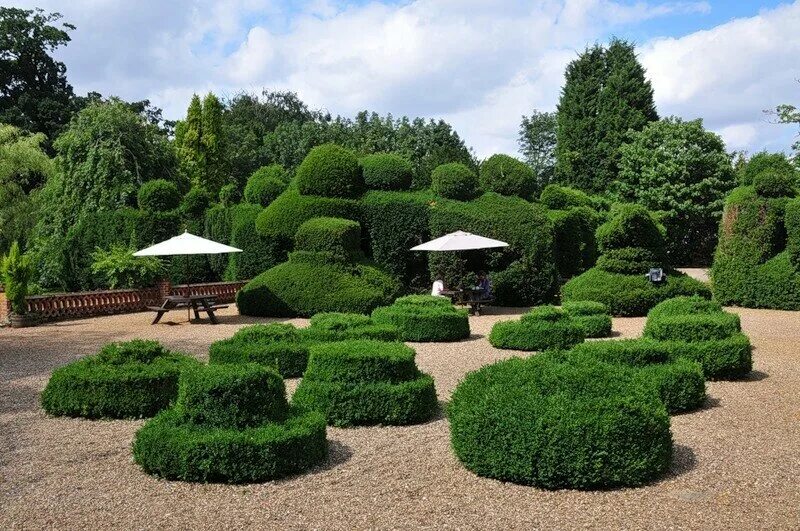 Хелен парк+ ландшафт. Хелен парк+ ландшафт. Сады италии самшит. Парковые растения. Топиарное искусство в древнем риме.