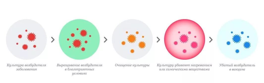 Виды вакцин и их примеры СРЕДСТВА ВЛИЯЮЩИЕ НА ИМУННУЮ СИСТЕМУ Иммуномодуляторы средства