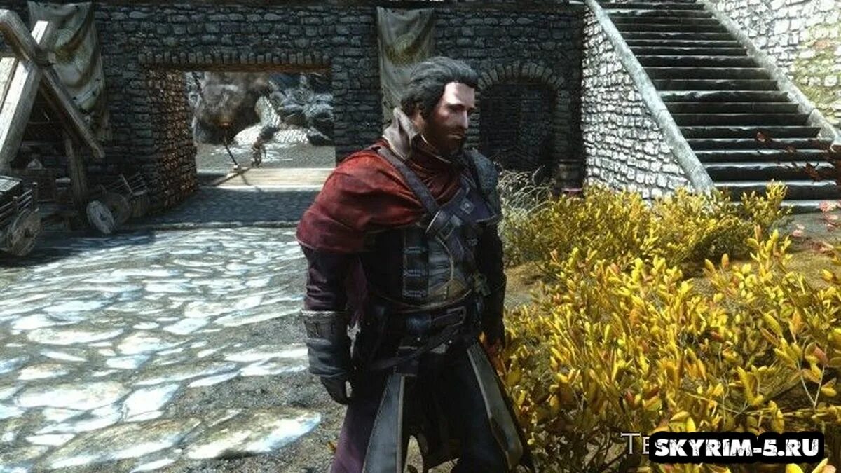 Assassin rogue mod. Скайрим мод ассасин крид броня. броня из ассасин крид rogue для скайрим. мод на женскую броню ассасина в скайрим се.