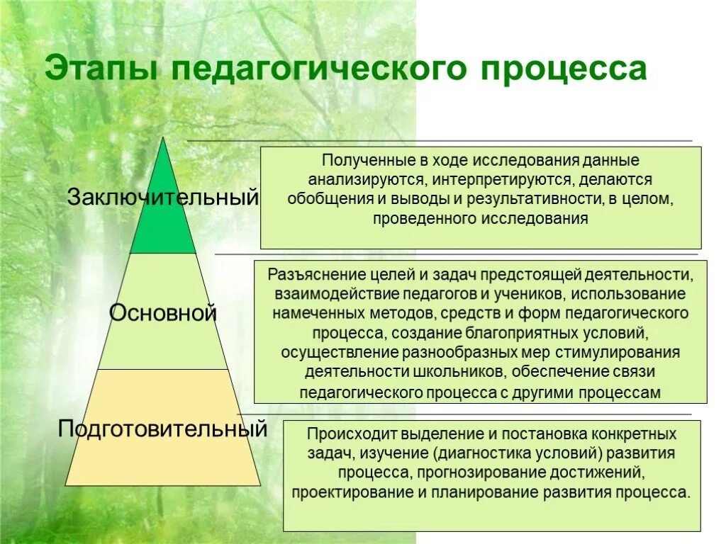 3 этапы педагогического процесса