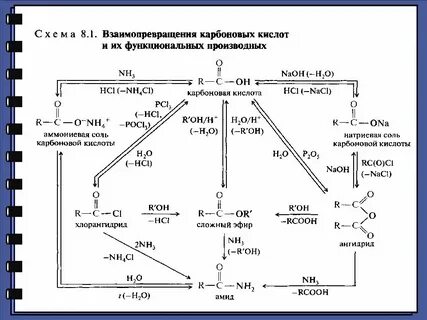 Схемы реакций кислот