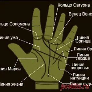 Хиромантия кольца