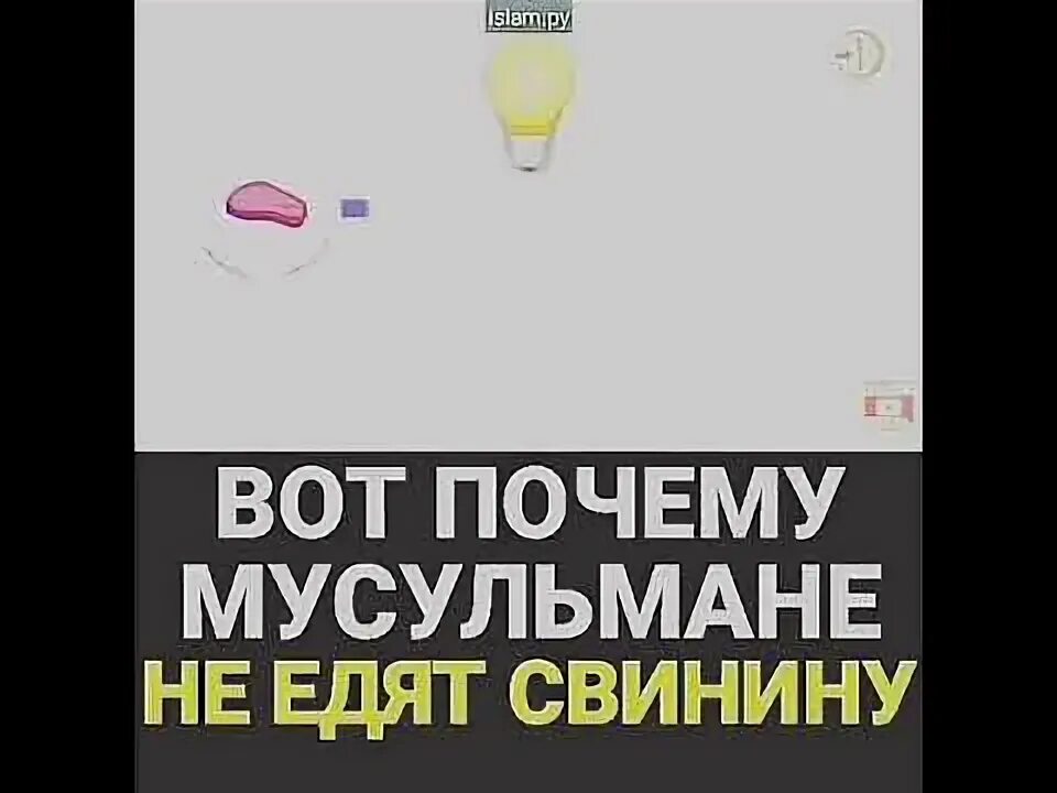 Почему мусульмане не едят днем. Почему нельзя есть Сумнину мусальмкгаи. Почему мусульманам нельзя свинину. Посемунельзя в Исламе есть свинину. Почему нельзя есть свинину.