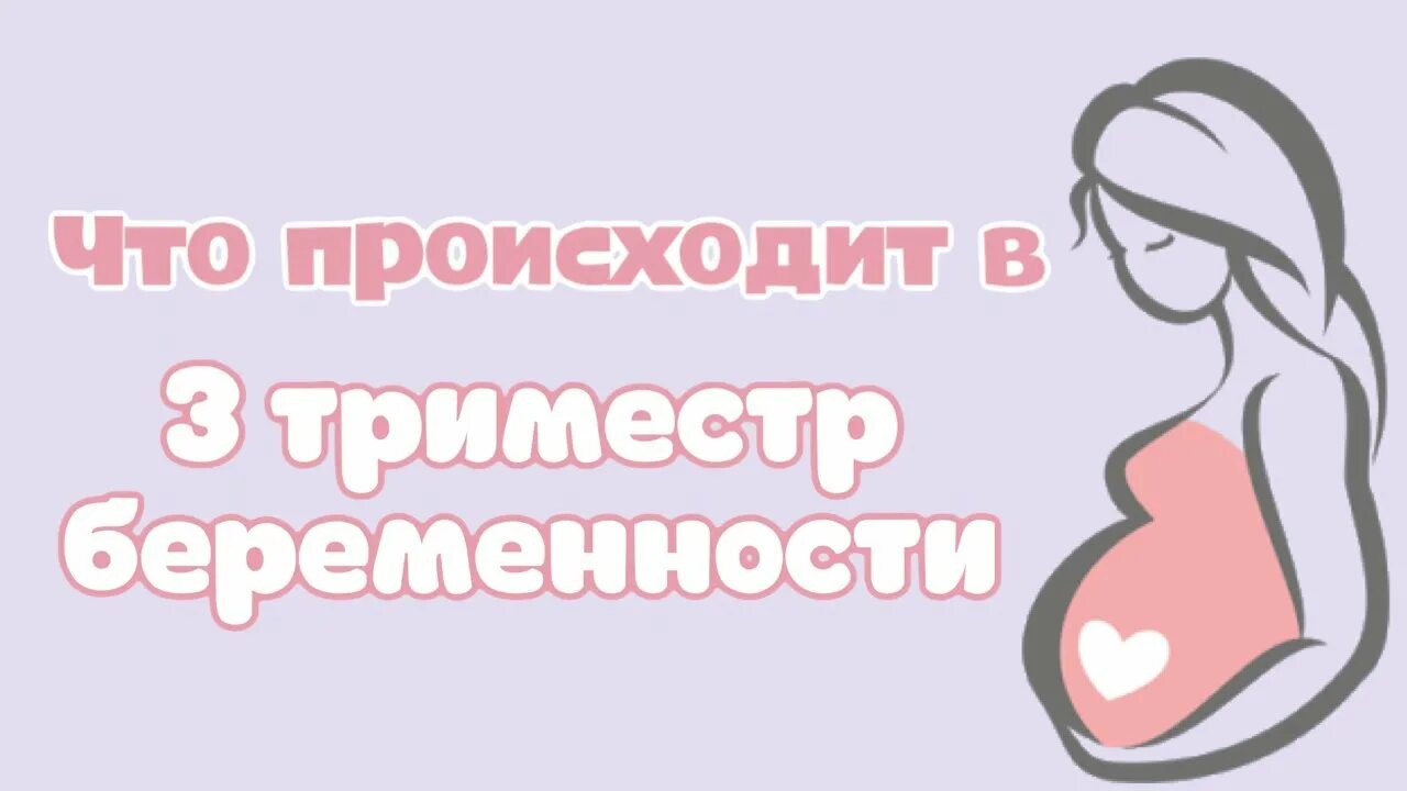 Особенности триместров беременности. 3 Триместр беременности. 2 Триместр беременности. Последний триместр беременности. Триместры беременности.