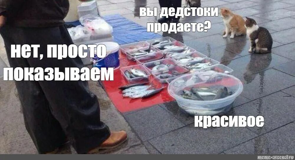 Продаете показываем красивое. Рыба продаете красивое Мем. Мем с котами и рыбой. Мем про кота и рыбу. Коты мемы про рыбу.