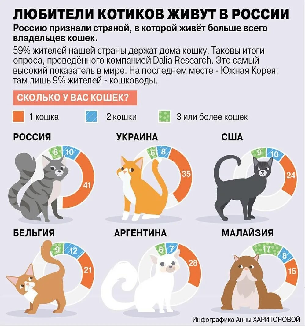 Какого питомца хочешь