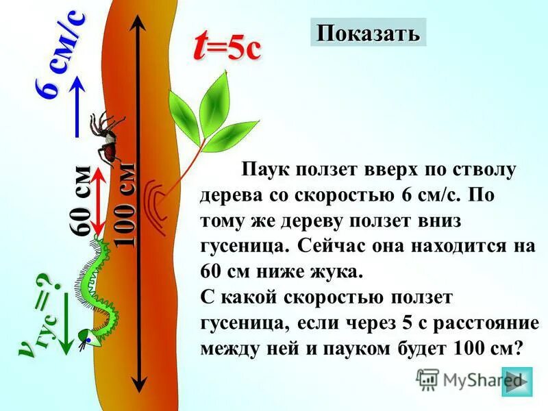 Гусеница ползет по стволу. Задания по математике для дошкольников. Решить задачу гусеница переползла. Задания в пределах десятка для дошкольников. Гусеница проползла.