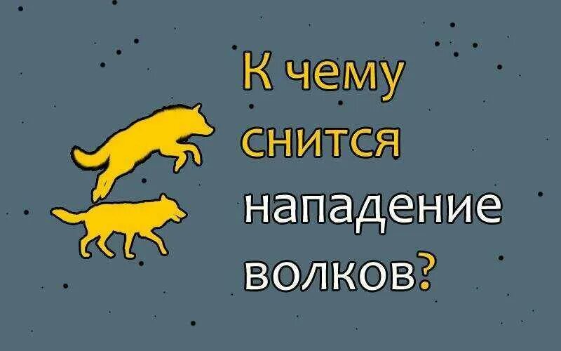 Волк во сне к чему снится. К чему снятся нападения во сне. К чему снятся нападения во сне. К чему снится попытка изнасильство. К чему снятся нападения во сне.