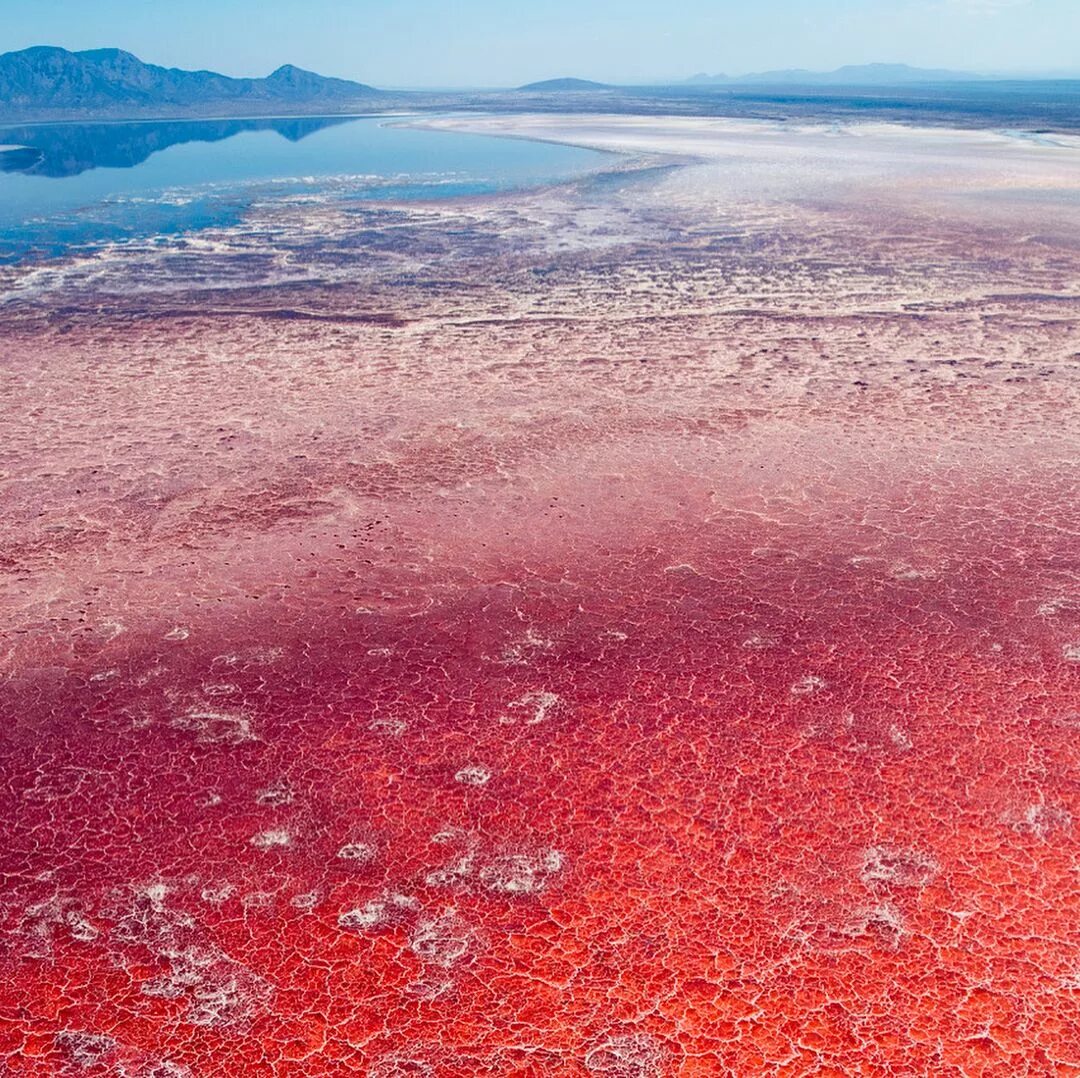 Озеро Натрон в Танзании. 24. Озеро Натрон (Lake Natron), Танзания. Соленое озеро Натрон. Есть красное озеро