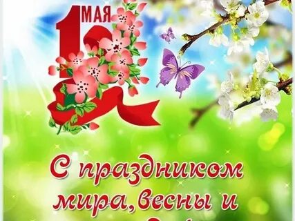 Мир каникул