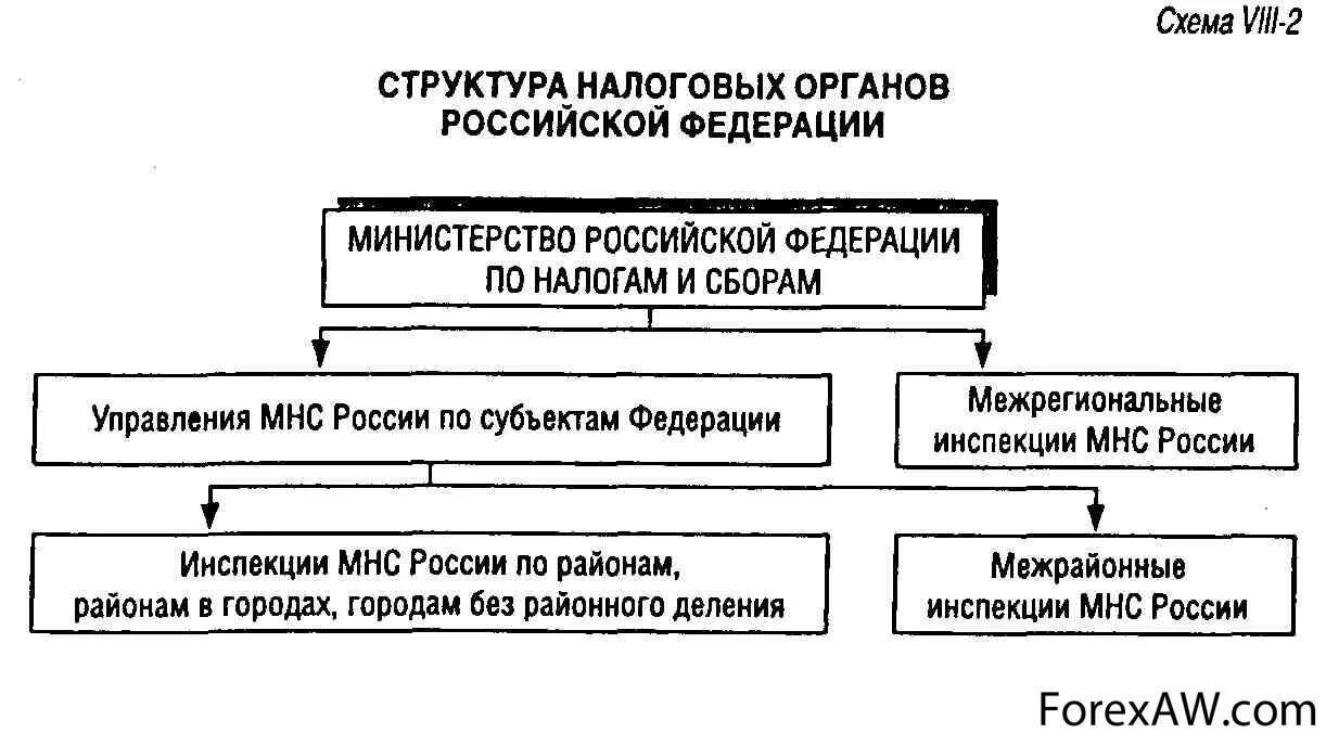 Укажите органы которые относятся к налоговым. Налоговые органы схема. Структура налоговых органов. Система налоговых органов схема. Структура налоговых органов РФ.