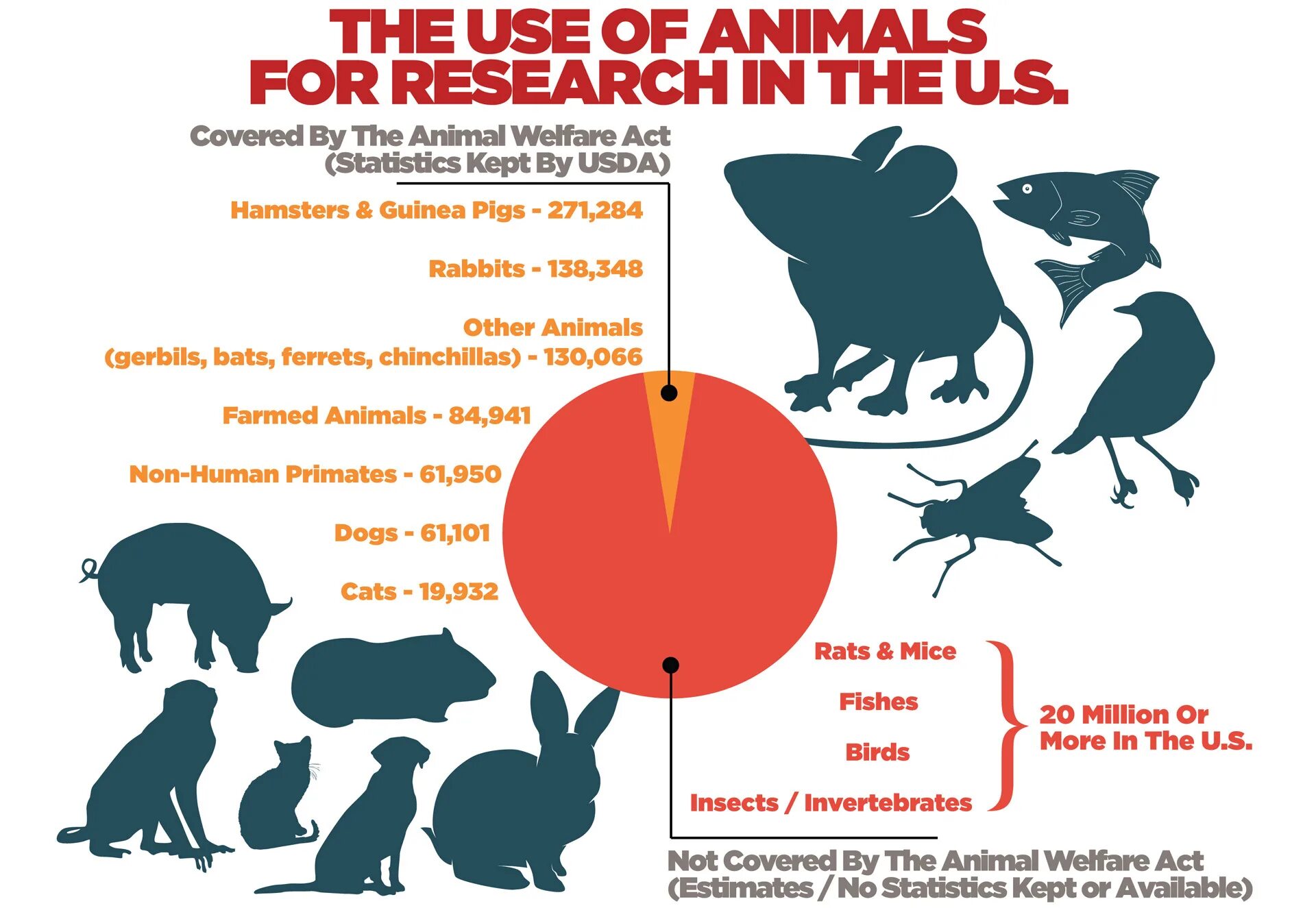 Use of animals. Animal тест. animal welfare act. experiments on animals statistics. animal testing for and against.