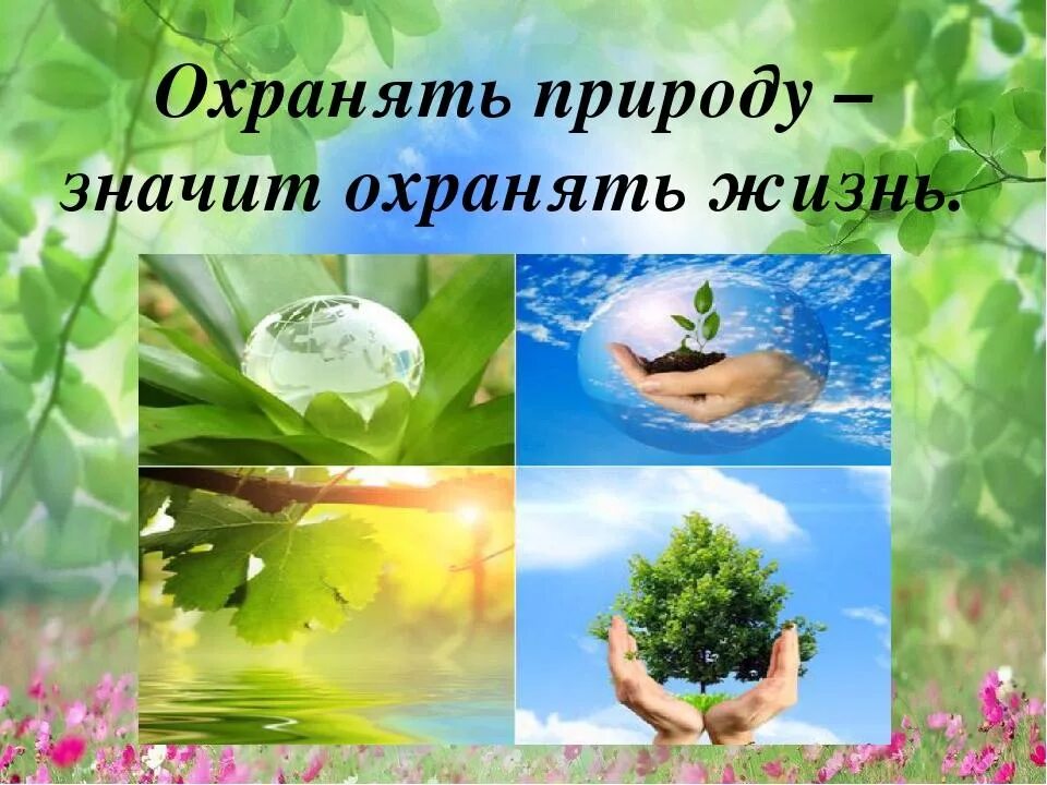 Берегите природу. Экология берегите природу. Охранять природу. Природа наше богатство