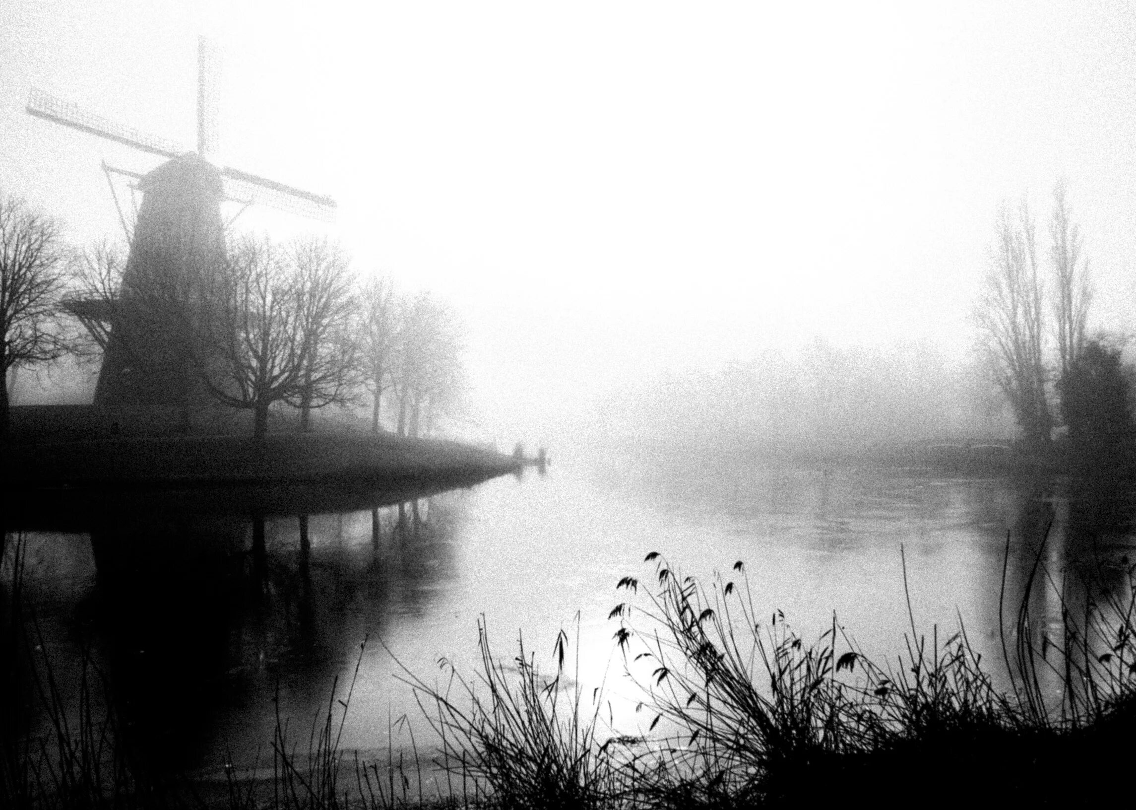 Монохром в фотографии. Цветы эстетика. Монохромное убожество. Монохромные снимки. Черно белый пейзаж города.