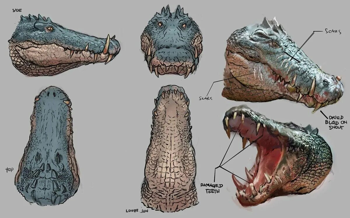 Фигурка доисторического животного safari ltd. Крокодил кабан. Капрозух динозавр. Крокодил на берегу. Капрозух.