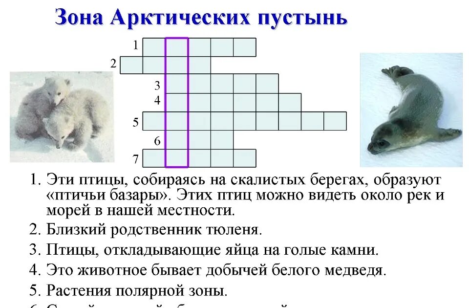 Кроссворд природная зона с вопросами. Кроссворд на тему живот. Кроссворд на тему животные. Кроссворд про животных Арктики. Кроссворд на тему животных.