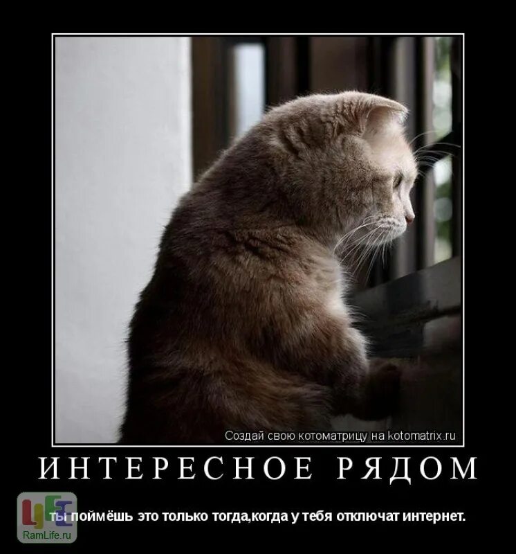 Совсем одиноко. Демотиваторы про одиночество. одиночество прикол. одиночество надпись. скучно грустно одиноко.
