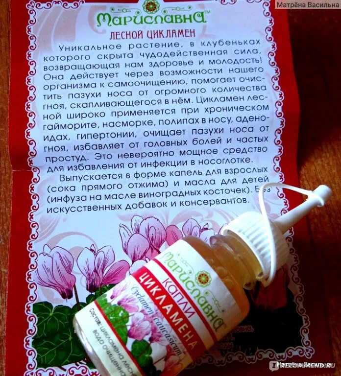 Капли цикламена с дозатором 20 мл отзывы. Капли сока цикламена. сок цикламена от гайморита. капли в нос с соком цикламена. капли в нос из клубня цикламена.