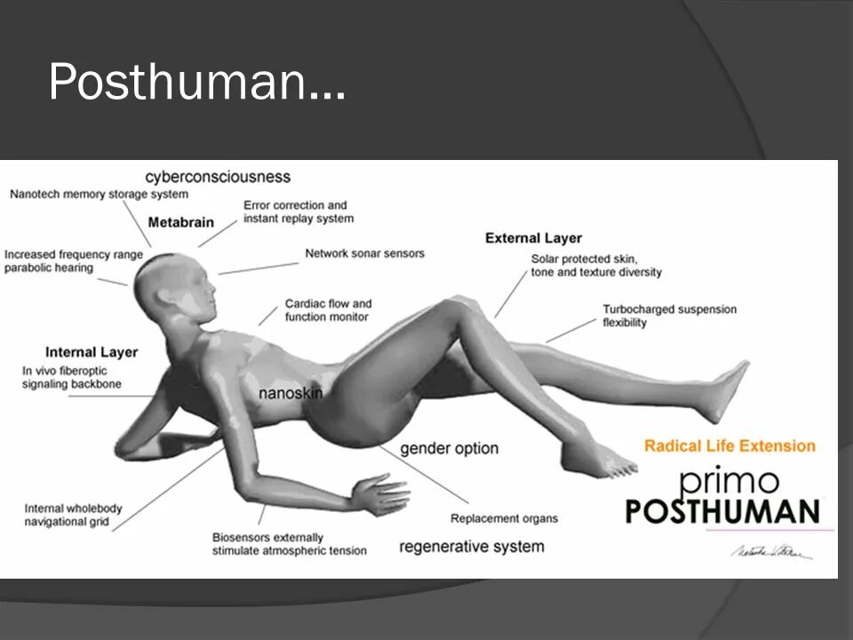 Posthuman. Posthuman картинки. posthuman labor. void - posthuman.