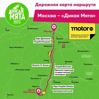 Где проходит фестиваль дикая мята