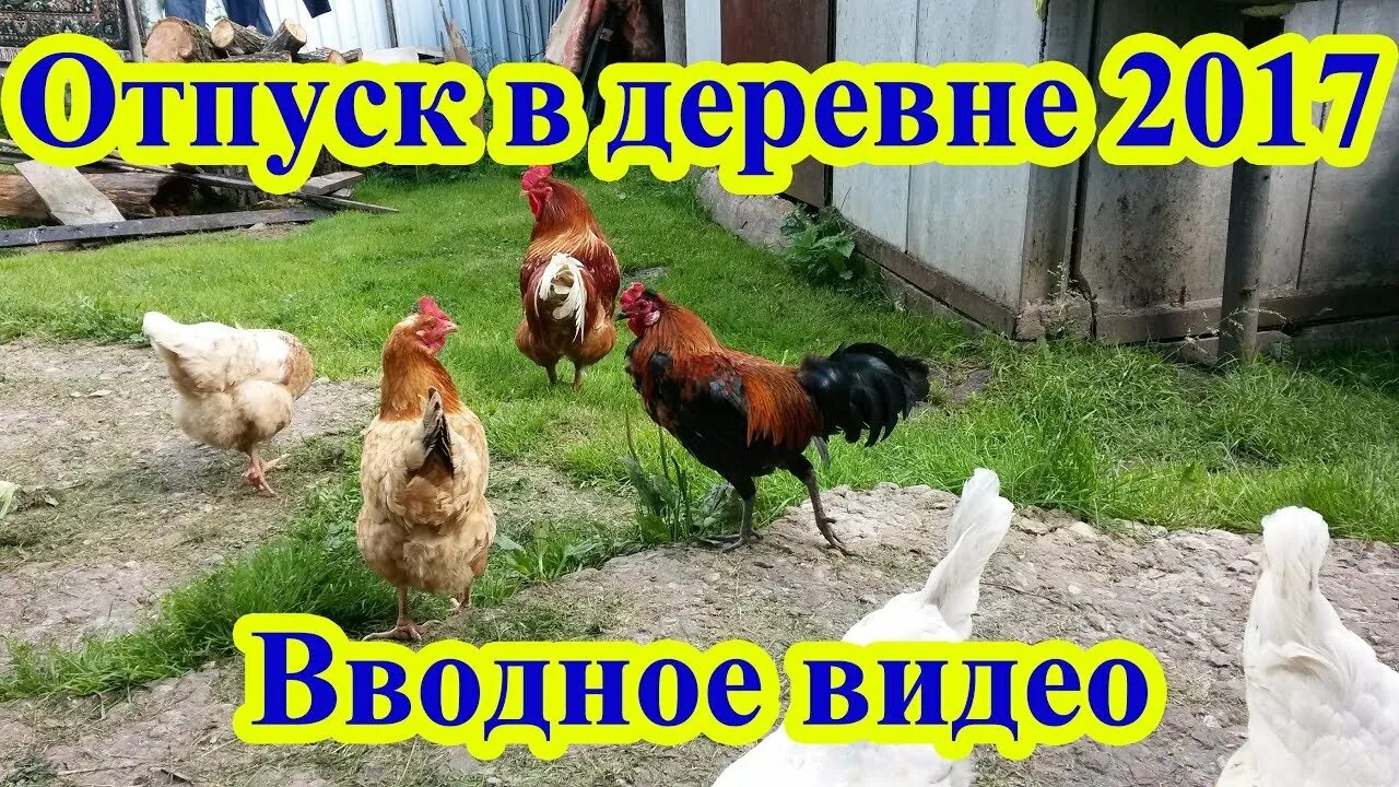 Хочу в деревню в отпуск. Отпуск в деревне. отпуск в деревне с детьми.