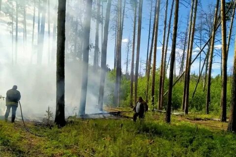 Сайт экологии региона нижегородской
