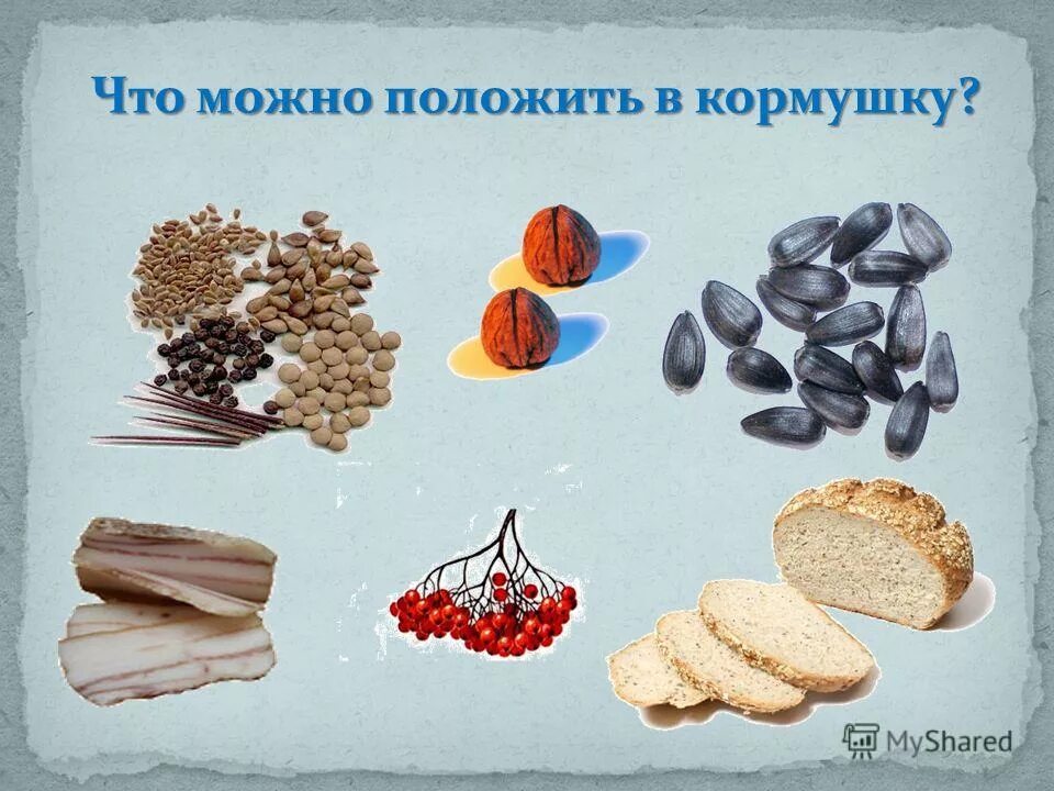 корм для птиц в кормушку. корм зимующих птицах для дошкольников. что можно положить в кормушку. корм для птиц в кормушку зимой. какие овощи положить в кормушку.