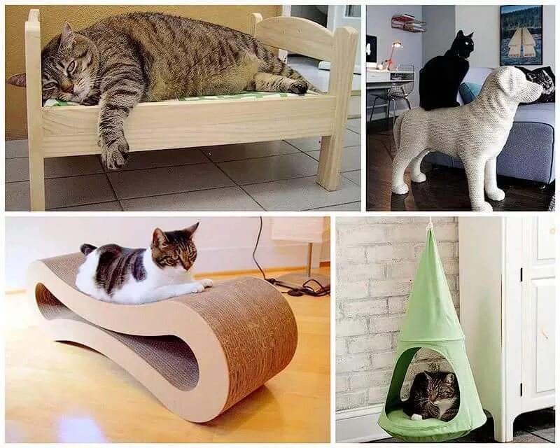 Где сделать дома. Смешные домики для кошек. Интересные вещи для кошек. Место для кота. Идеи места для котов.