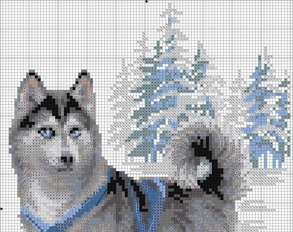 Схемы вышивки крестом собаки. Набор вышивания крестом хаски. Вышивка крестом собаки хаски. Вышивка хаски крестом. Верный хаски панна.