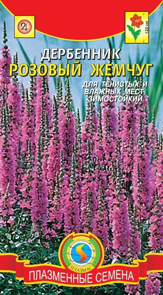 Плакун трава или дербенник. Дербенник иволистный семена. Дербенник розовый. Дербенник иволистный. Цветы дербенник розовый жемчуг.