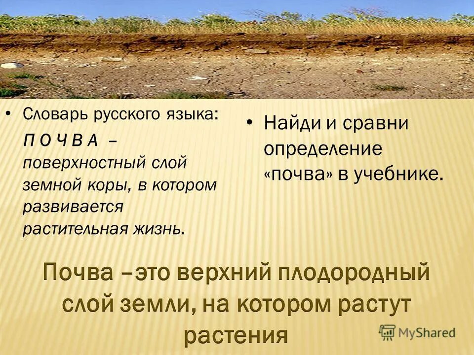 5 определений почвы