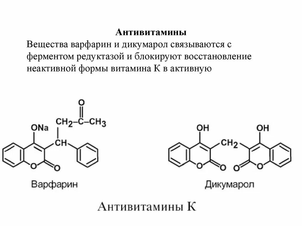 Активная форма простейшего
