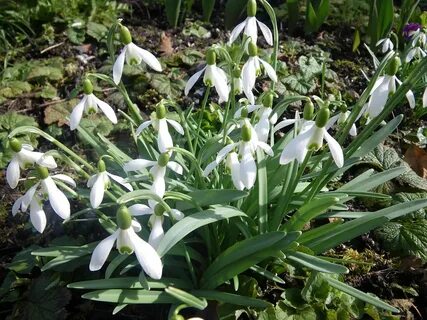 Spring awakens