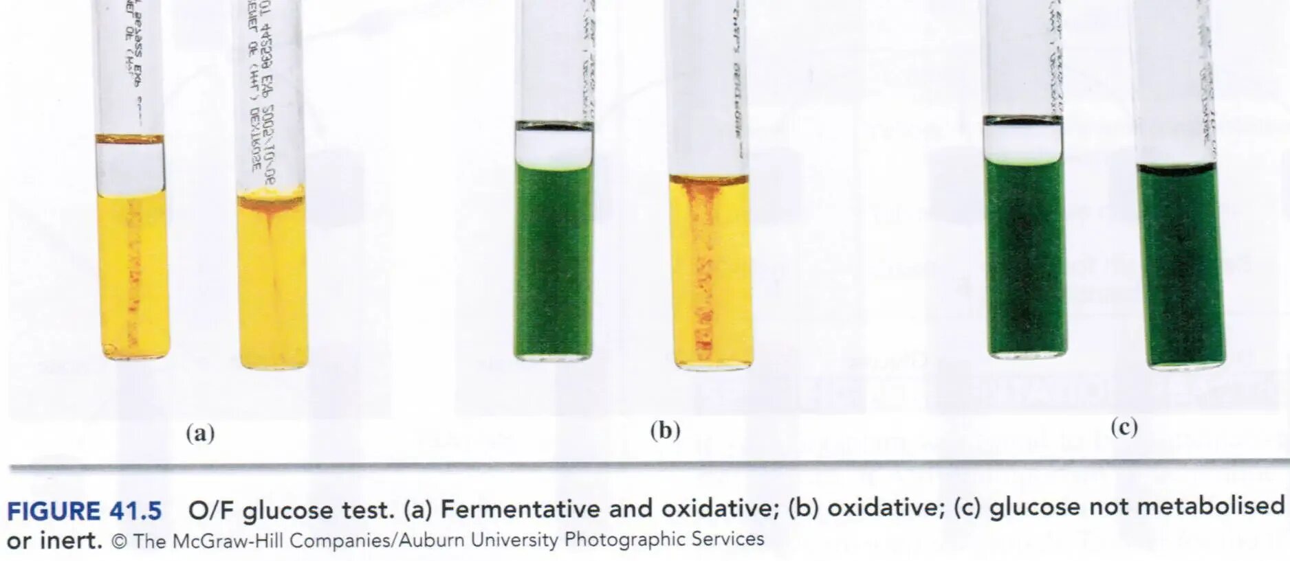 Test of can