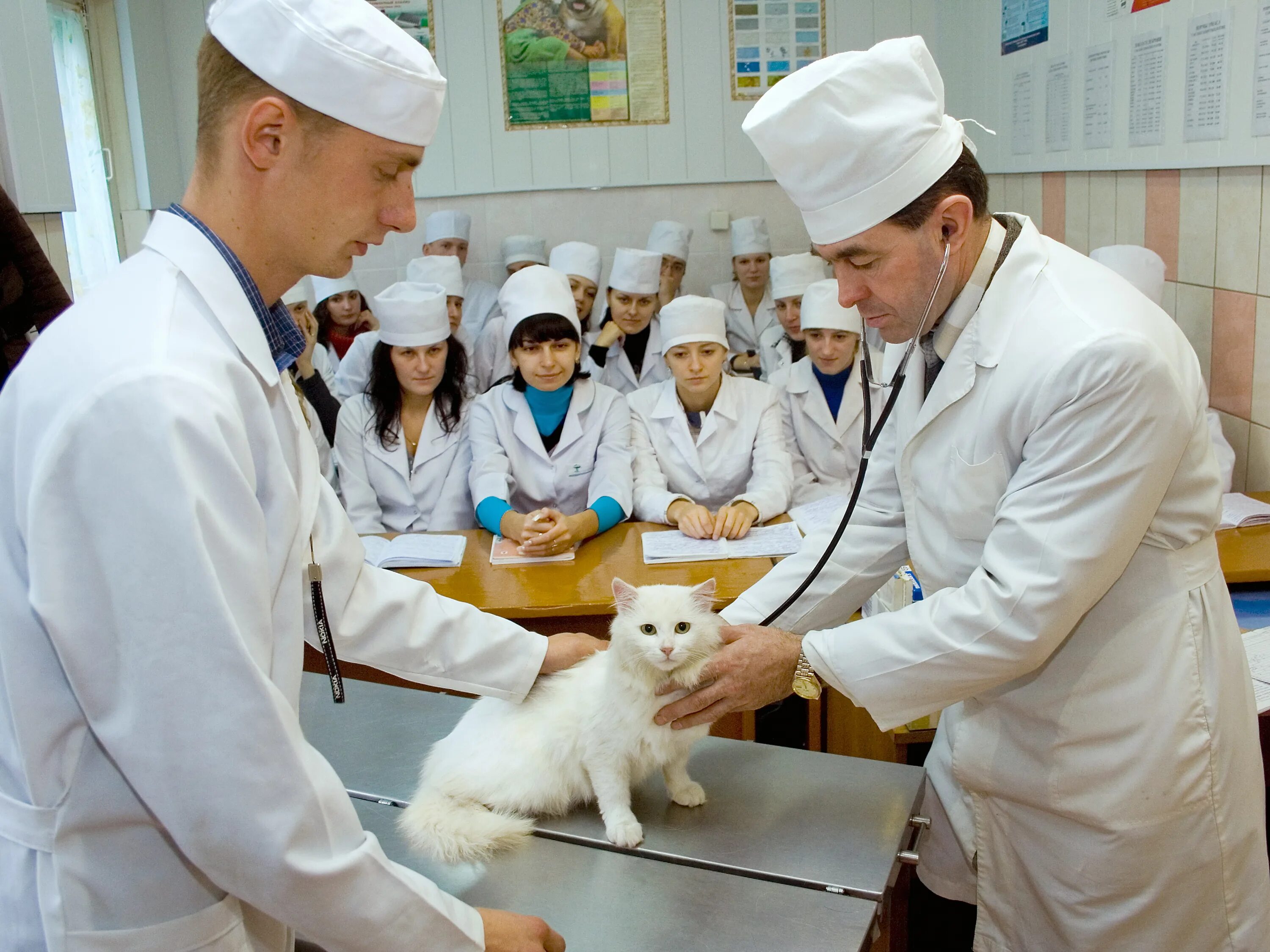 Сколько учиться на врача после 9