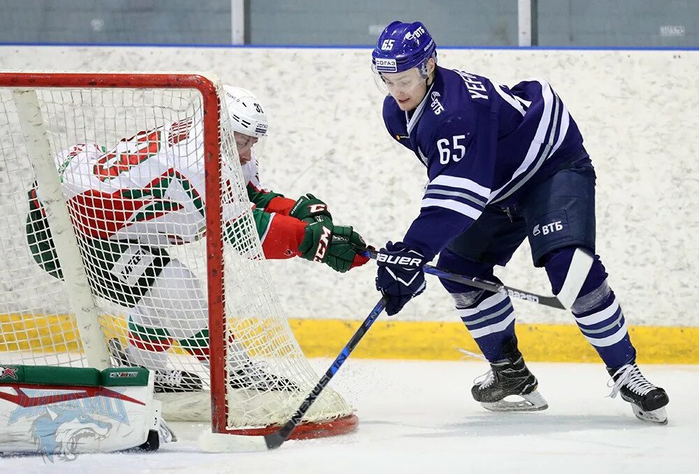 Ак барс динамо матч сегодня. Динамо ак барс. динамо ак барс лого. фотосессия динамо ак барс. ак барс динамо казань волейбол.