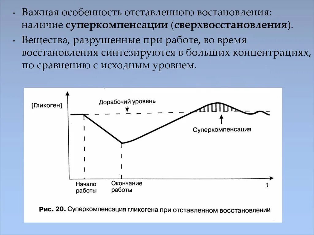 Восстановление работы мышц. Биохимические закономерности восстановления после мышечной работы. среднее время восстановления мышц. время восстановления мышц после тренировки таблица. сколько дней нужно для восстановления мышц после тренировки.