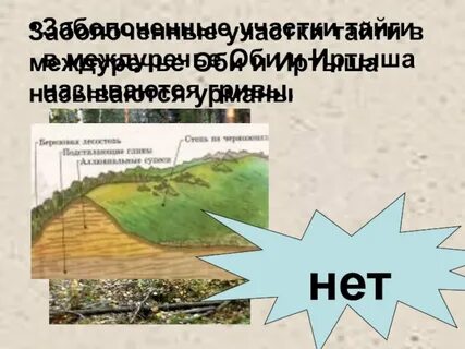 Междуречье оби и иртыша