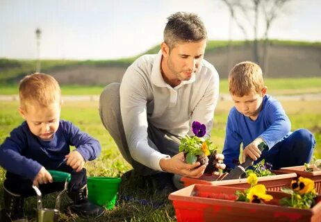 Family plants