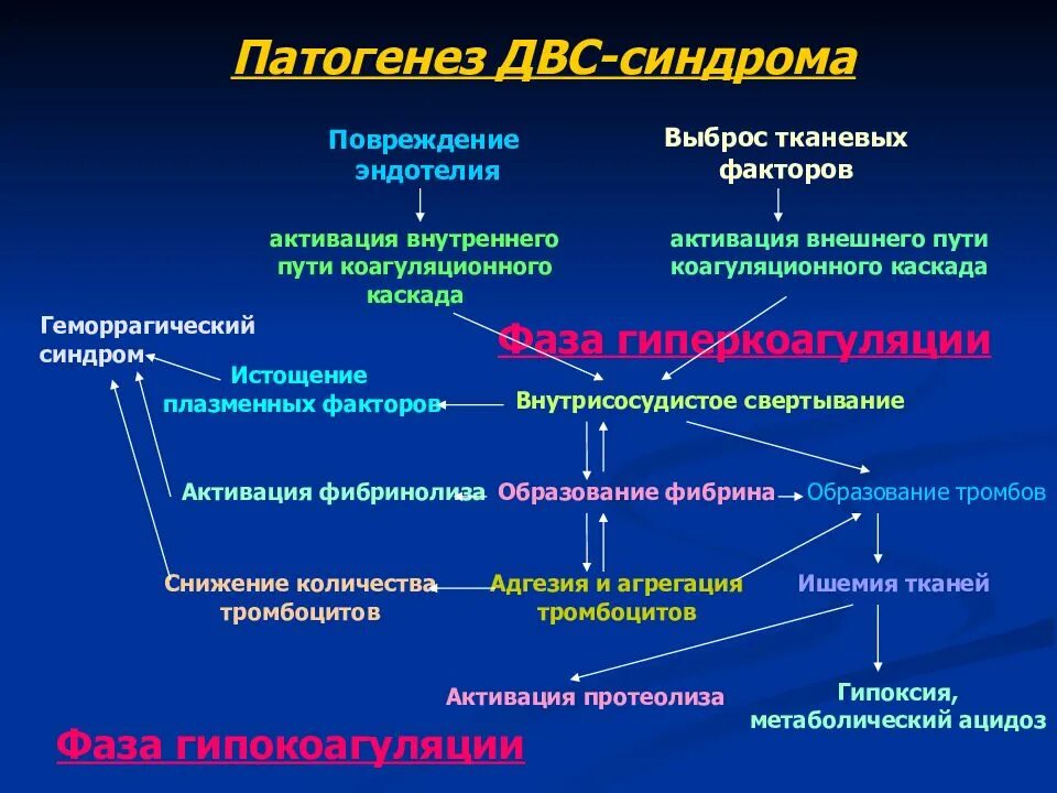 Патогенез и клиническая картина. Патогенез ДВС синдрома схема. Патогенез постгеморрагического синдрома.. Механизм развития почечной недостаточности при ДВС синдроме. Патогенез гиперкоагуляции ДВС синдрома.