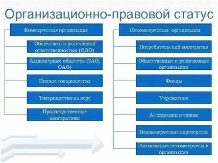 Правовое положение отдельных видов юридических лиц