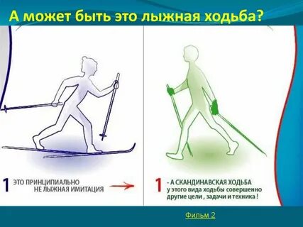 Лыжи мышцы