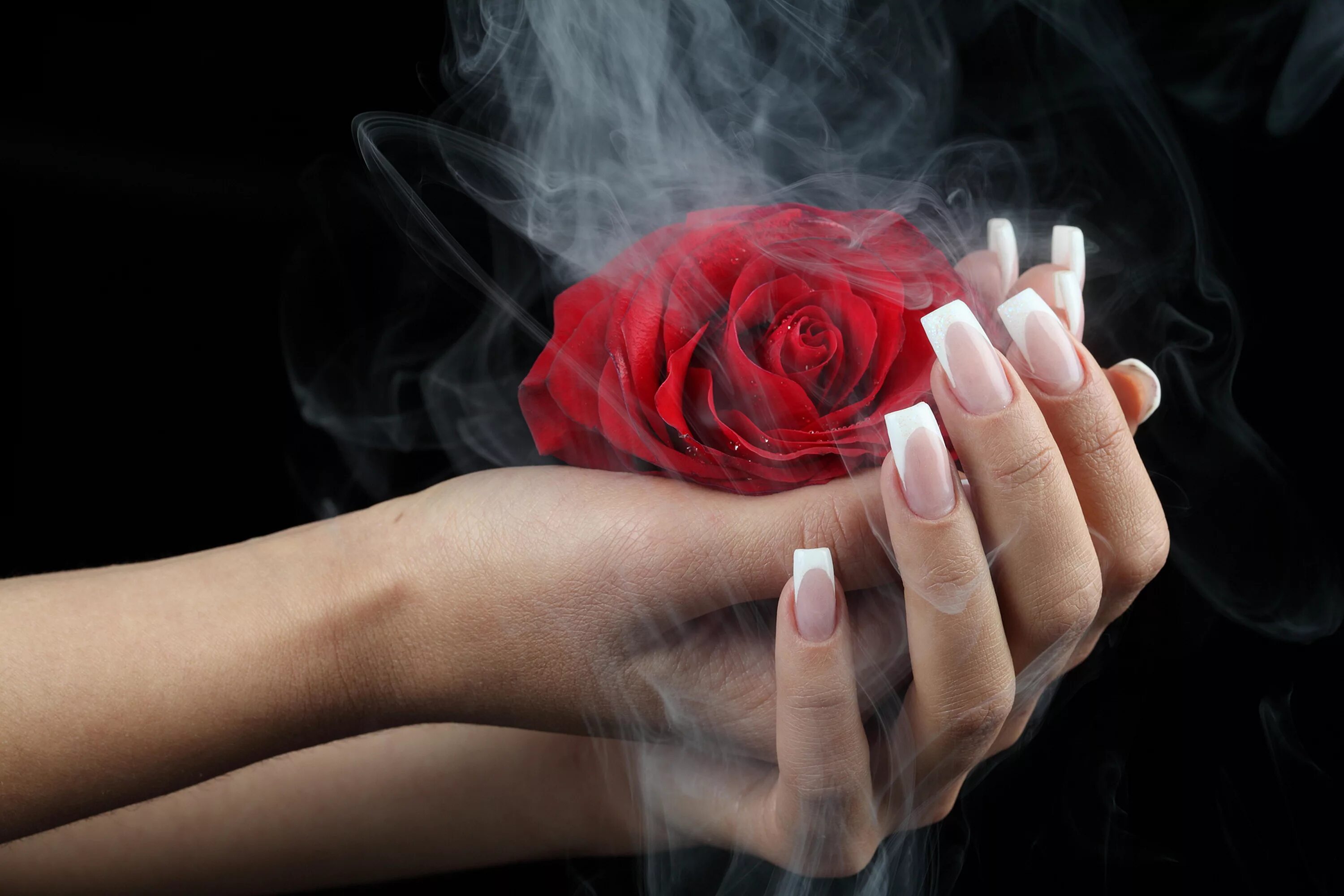 Красивая рука девочка. Женская рука. Роза в руке. Женская рука с цветком. Женские руки с цветами.