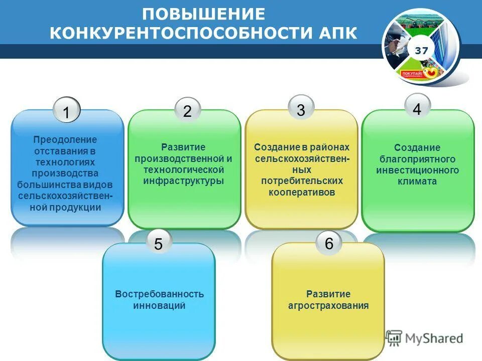 проверочная работа агропромышленные комплексы. проверочные работа агропромышленный комплекс. тест хозяйство россии. проблемы и перспективы развития агропромышленного комплекса. контрольная работа по географии поволжье.
