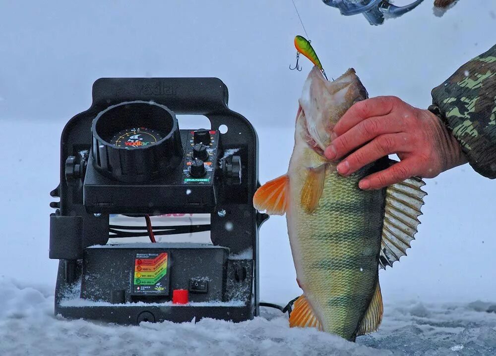 Ice fishing коды. Зимняя рыбалка. флешер для зимней рыбалки. ice fishing. ловля зимой с эхолотом.