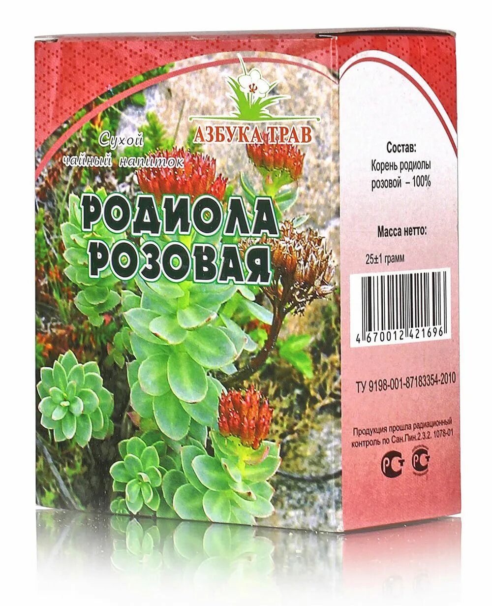 Родиола розовая саженцы. Золотой корень трава. Родиола розовая трава в аптеке. Азбука трав родиола розовая. Настойка родиолы розовой инструкция цена