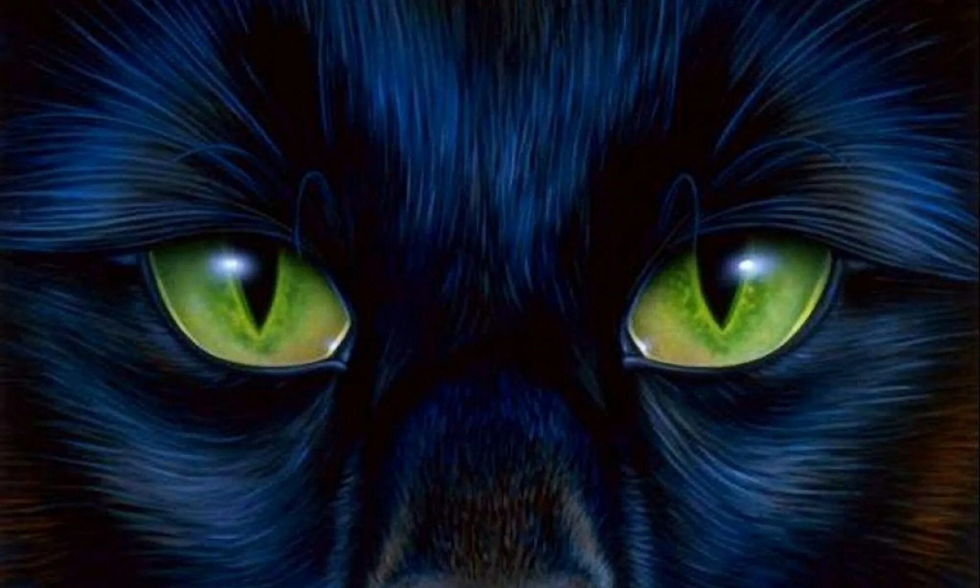 Котэ и синий. Кошачий глаз. Красивые кошачьи глаза. Аватар черная кошка. Кошачий глаз арт.